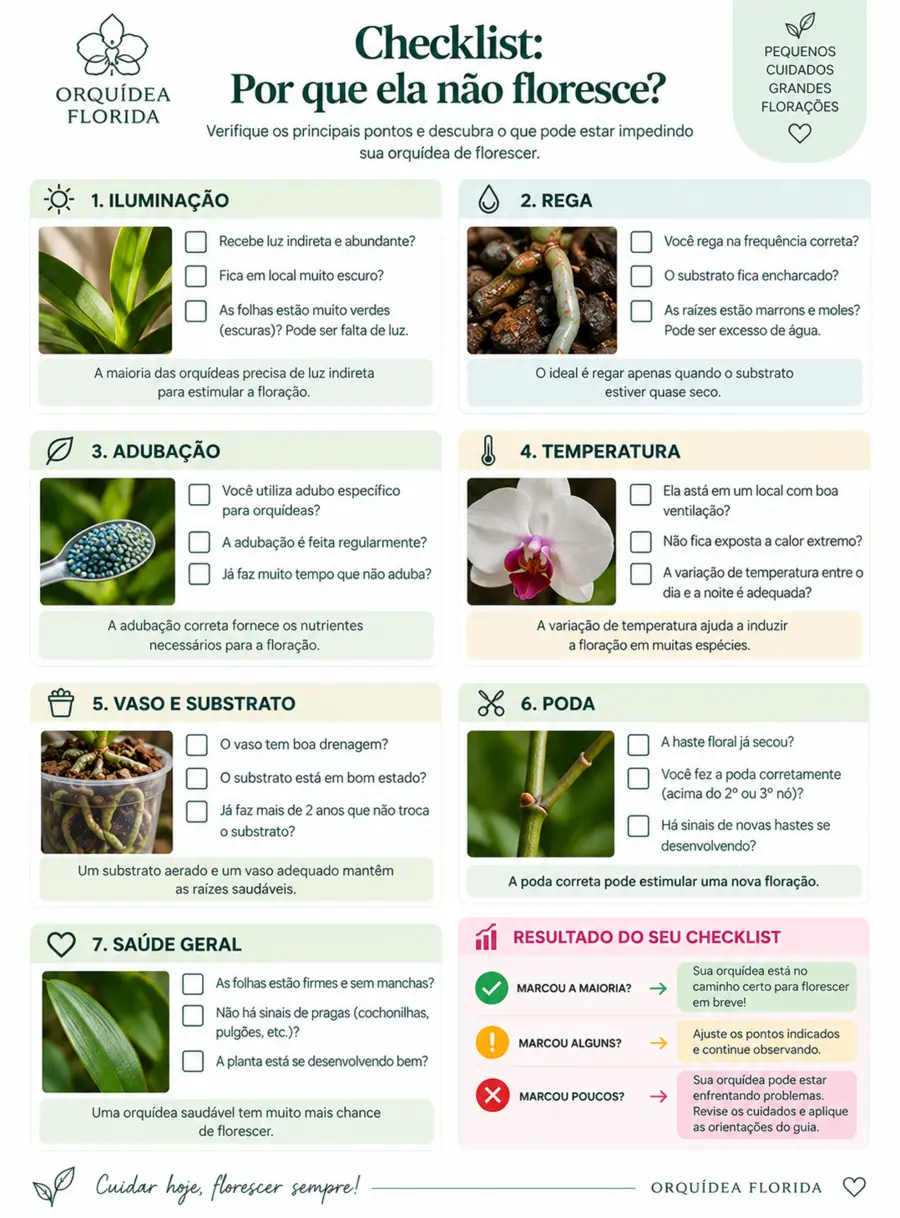 Prévia do bônus Checklist: por que ela não floresce?
