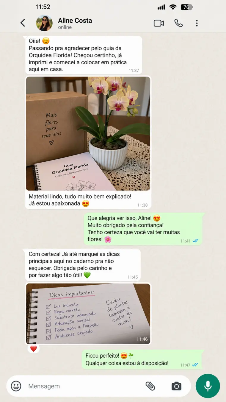 Conversa de WhatsApp com o depoimento de Aline Costa