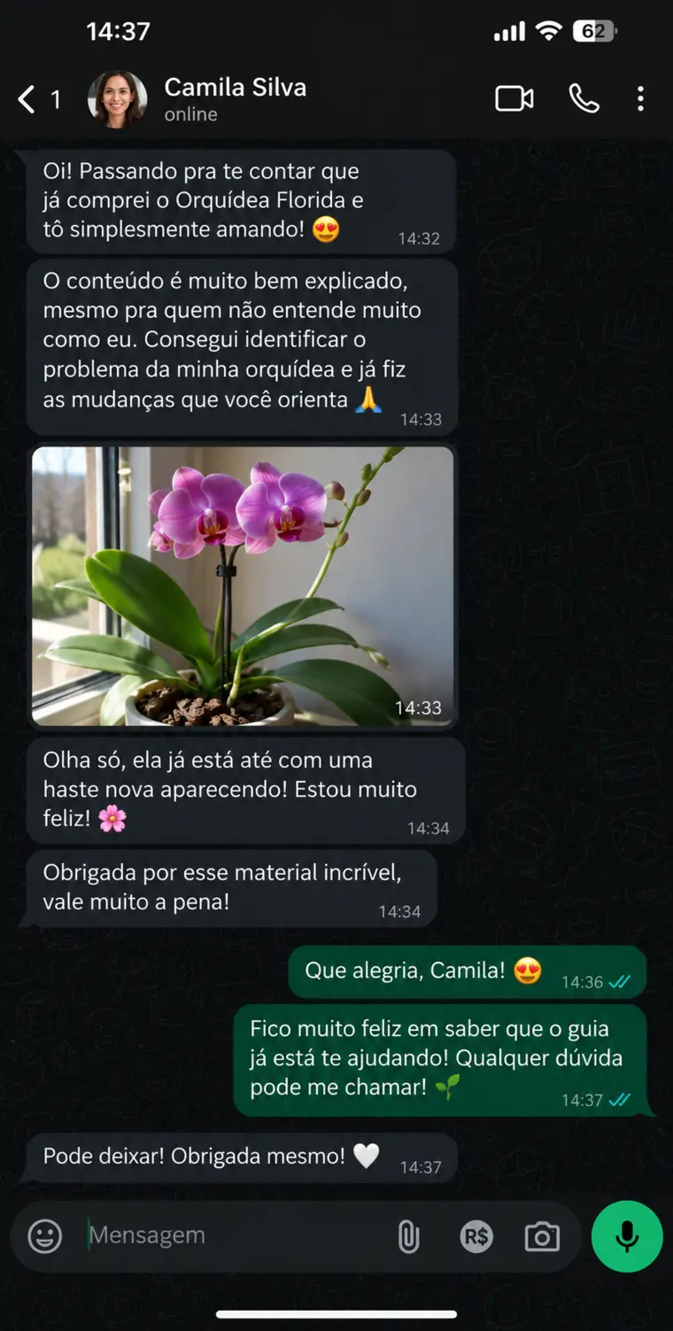 Conversa de WhatsApp com o depoimento de Camila Silva